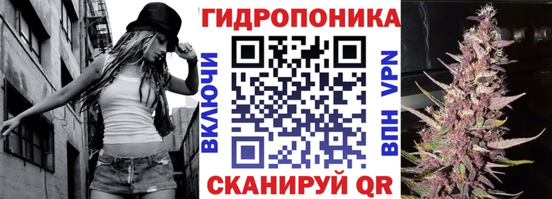omg как войти Бузулук сайты даркнета состав наркота МАРИХУАНА планчик